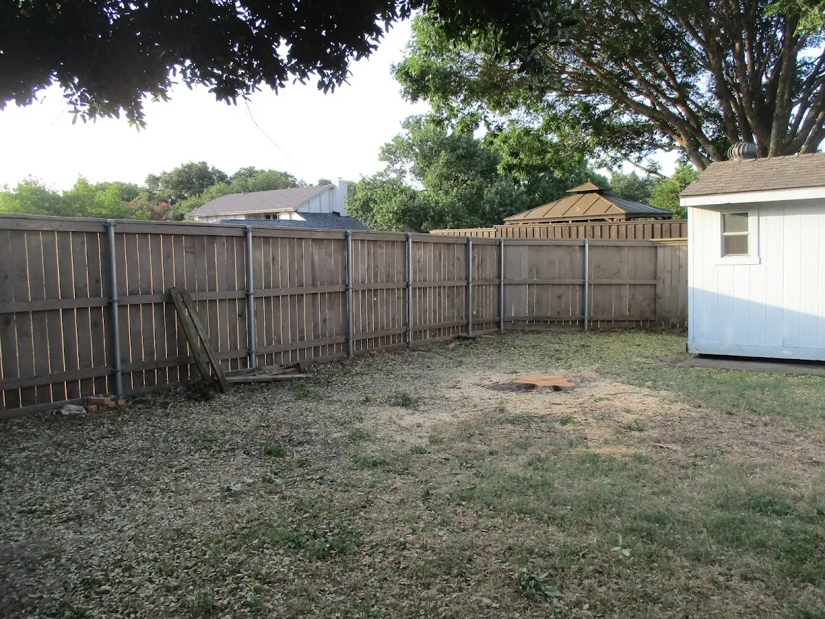 Cleared yard after professional tree removal in Rocky Face